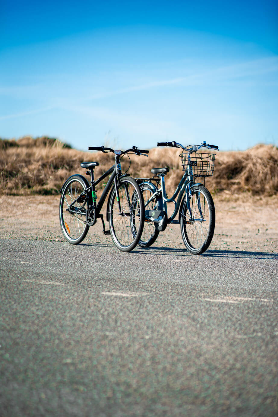 Fri Bikeshop - CS Enterprise