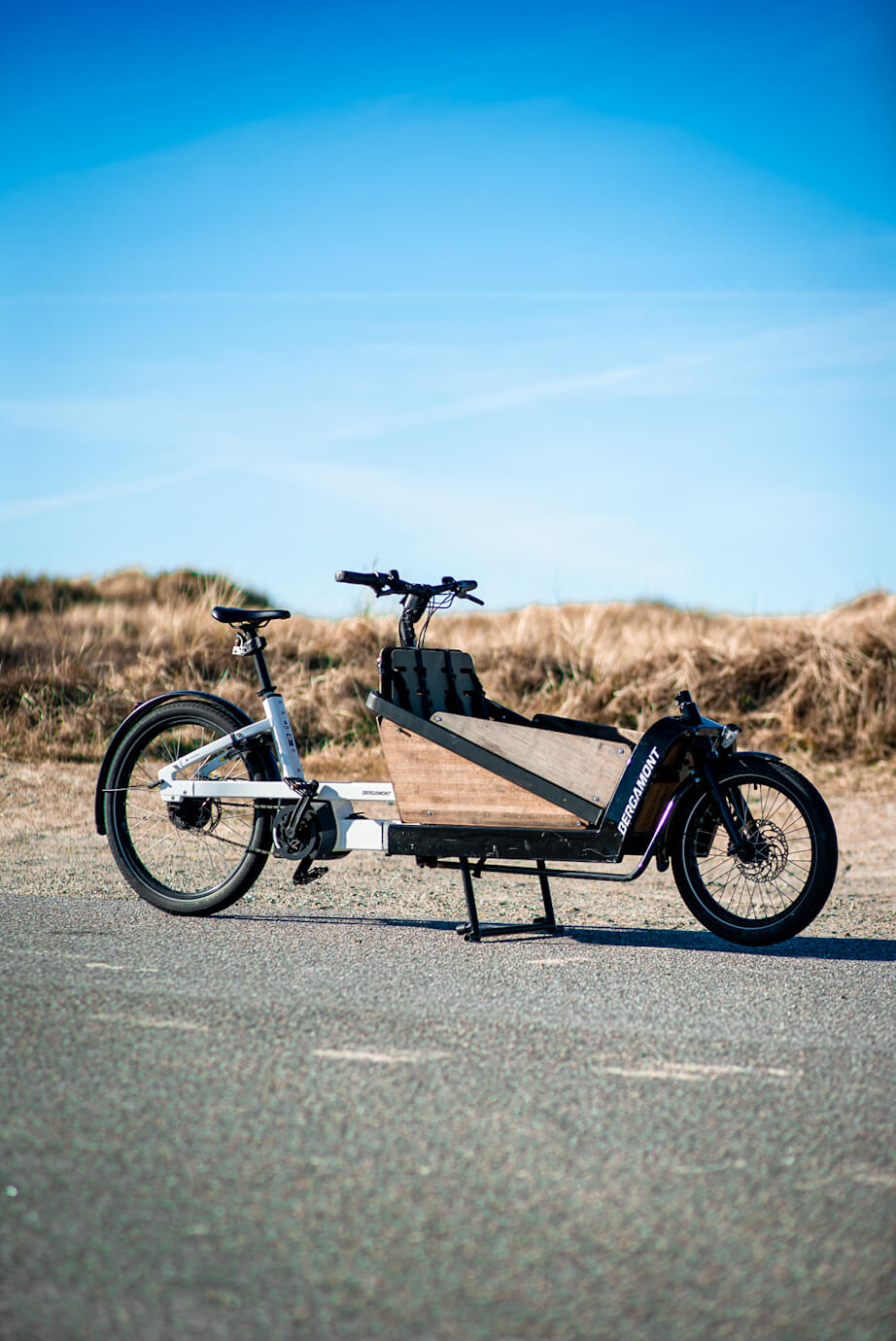 Fri Bikeshop - CS Enterprise
